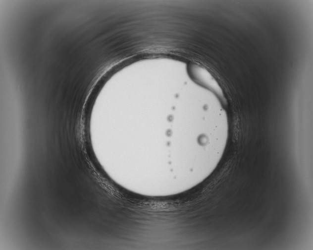 X0000103330976200810061011