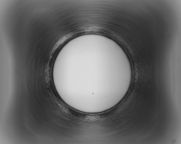 X0000103330978200810061011