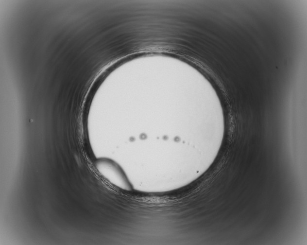 X0000103330980200810061011