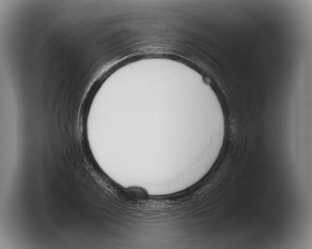 X0000103330981200810061011