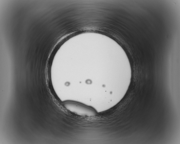 X0000103330984200810061011