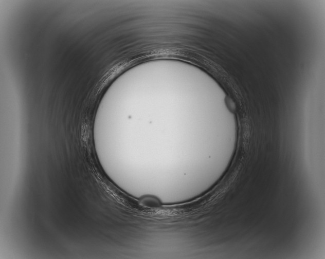 X0000103330985200810061011