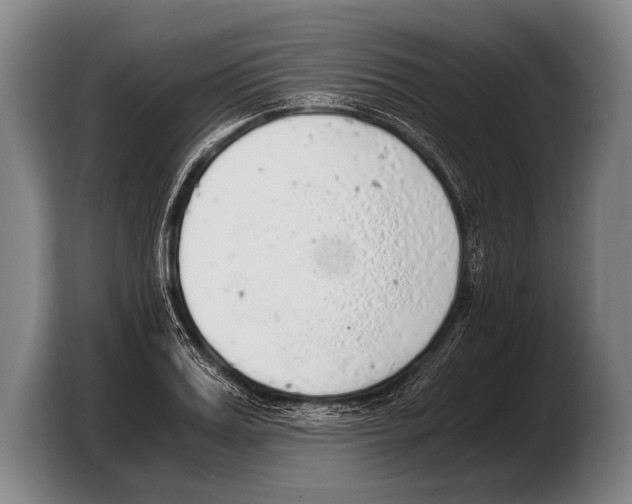 X0000103330987200810061011