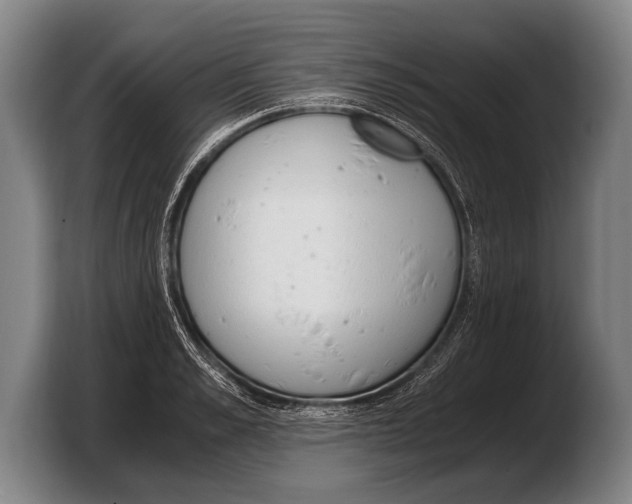 X0000103330989200810061011