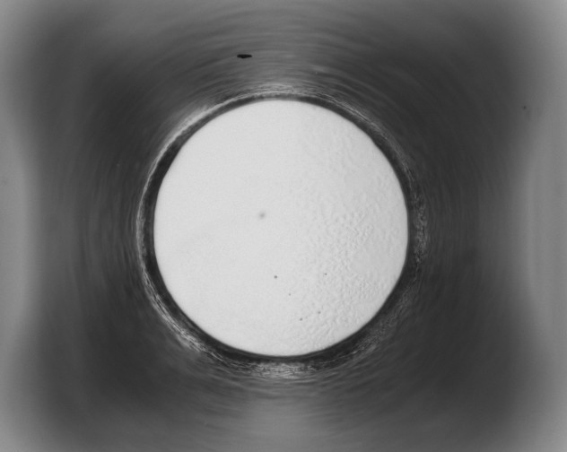 X0000103330991200810061011