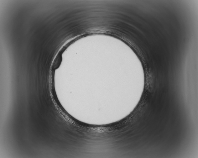 X0000103330992200810061011