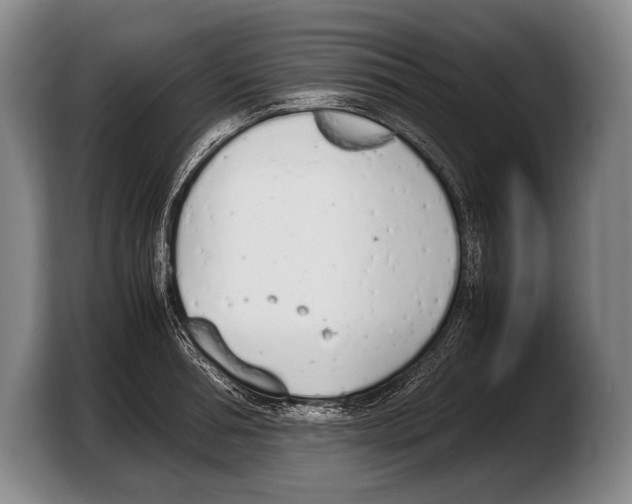 X0000103330994200810061011