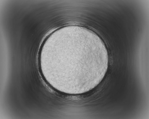 X0000103330995200810061011