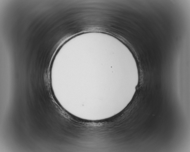 X0000103330996200810061011