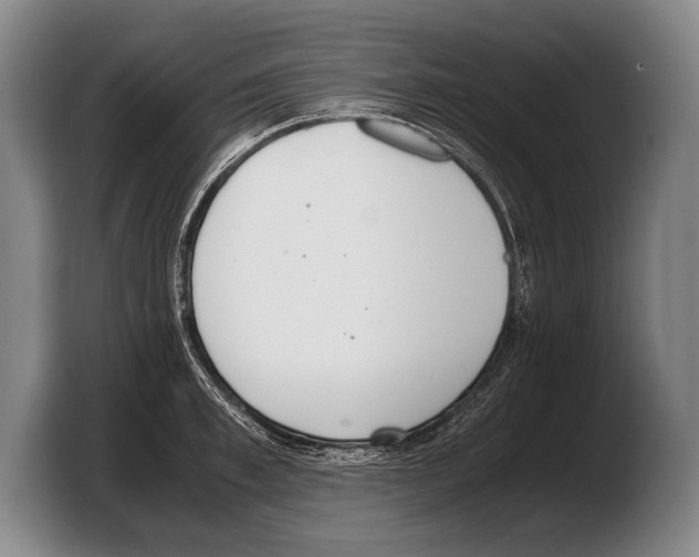 X0000103330997200810061011