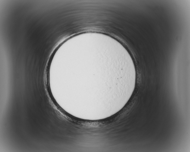 X0000103330999200810061011