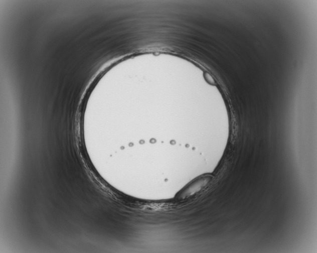 X0000103331000200810061011