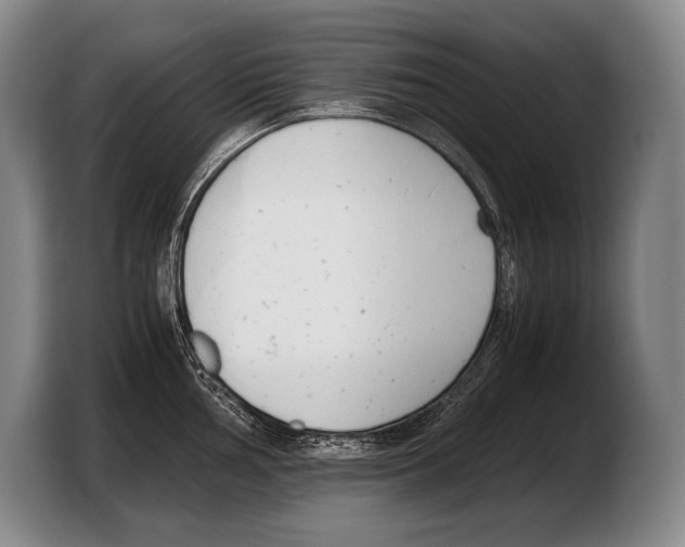 X0000103331002200810061011