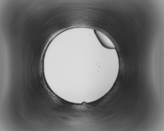 X0000103331004200810061011