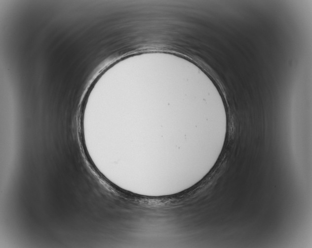 X0000103331005200810061011