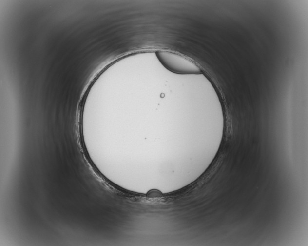 X0000103331006200810061011