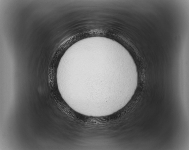 X0000103331015200810061010