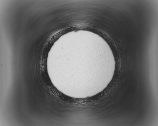 X0000103331016200810061010