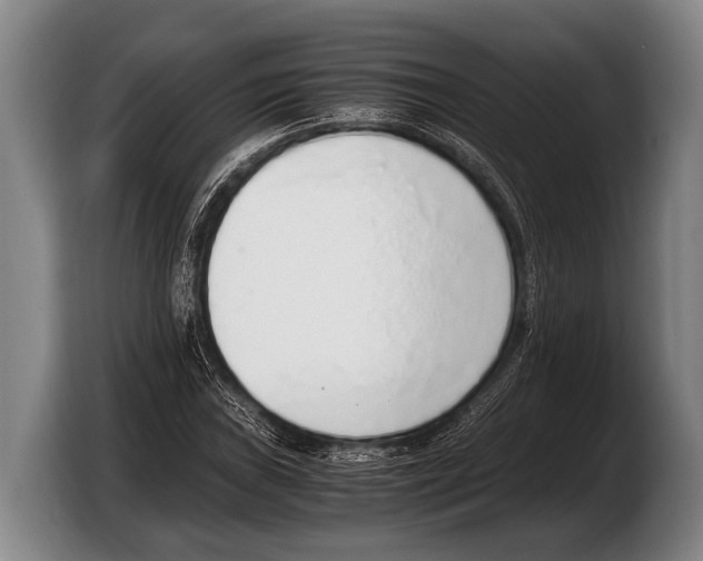 X0000103331019200810061010