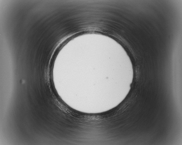 X0000103331020200810061010