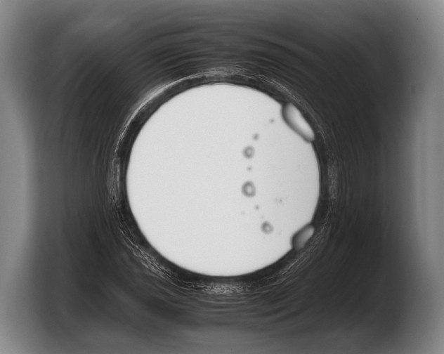 X0000103331021200810061010