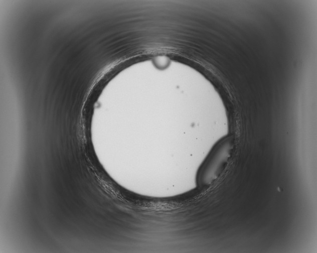 X0000103331022200810061010