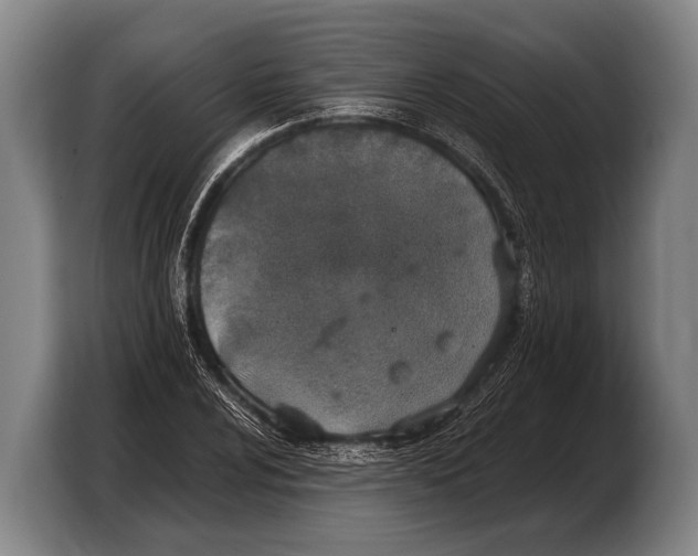 X0000103331024200810061010