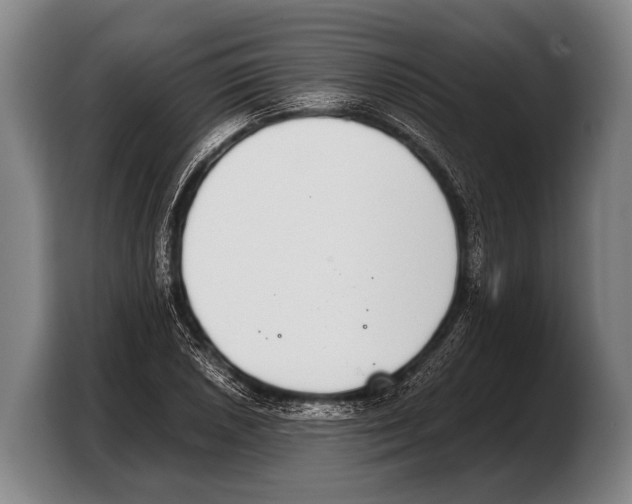 X0000103331026200810061010