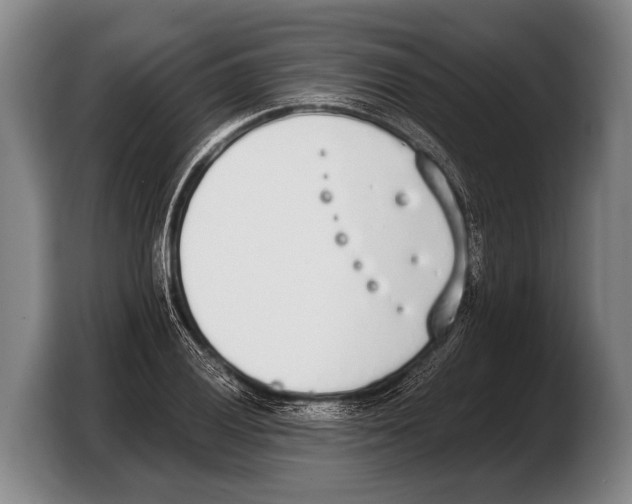 X0000103331028200810061010