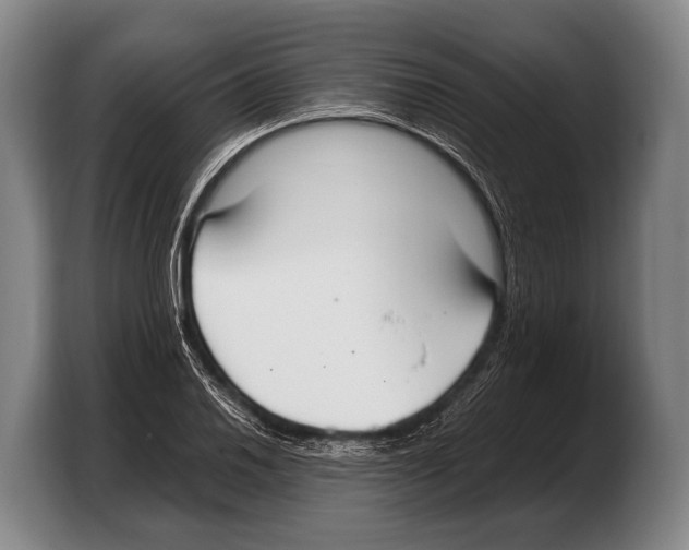 X0000103331030200810061010