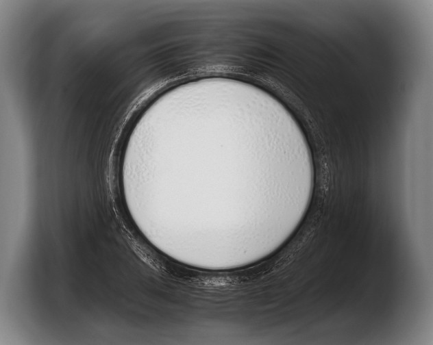 X0000103331031200810061010