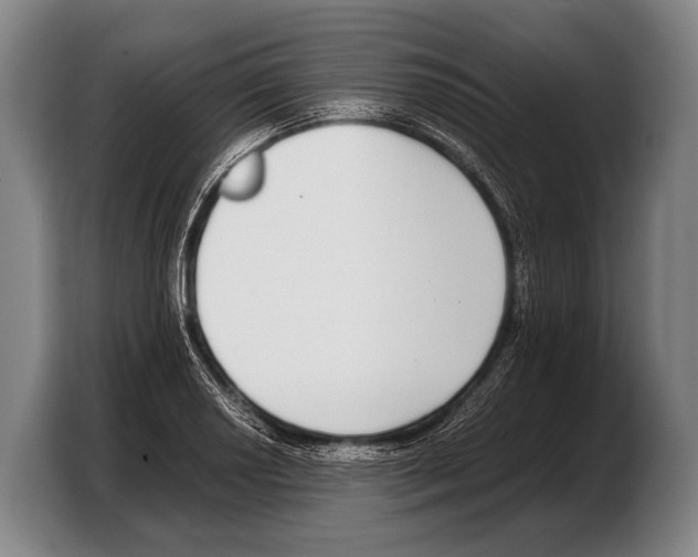 X0000103331034200810061010