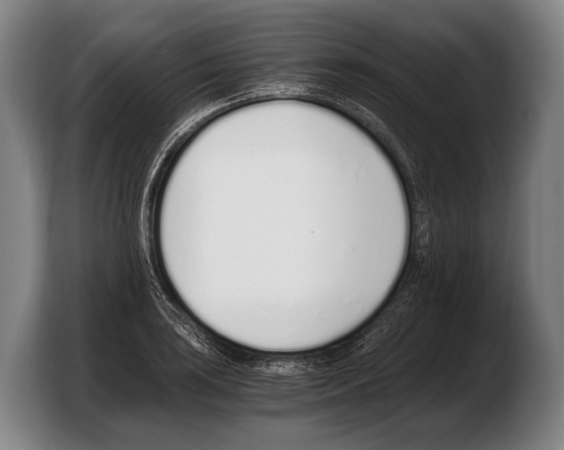 X0000103331035200810061010