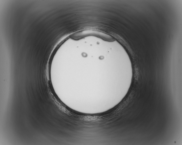 X0000103331036200810061010