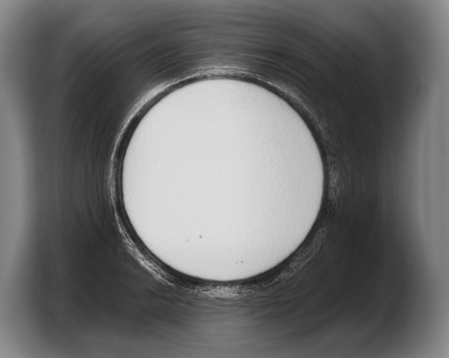 X0000103331038200810061010