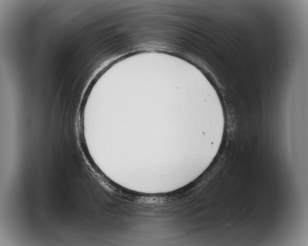 X0000103331040200810061010