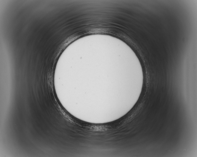 X0000103331041200810061010