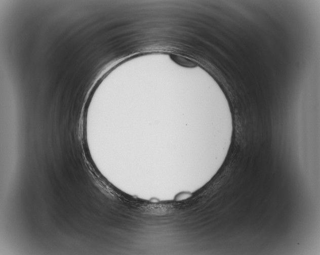 X0000103331044200810061010