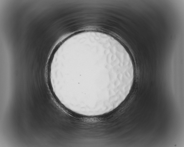 X0000103331045200810061011