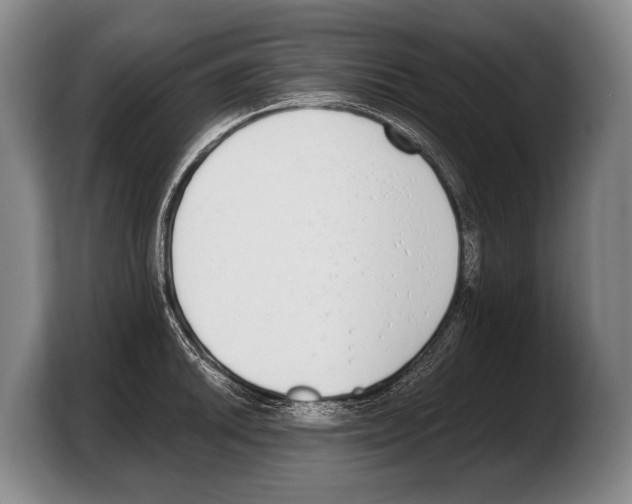 X0000103331046200810061011