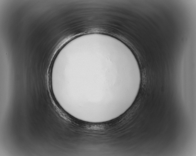 X0000103331047200810061011