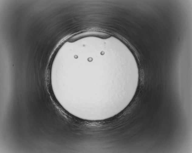 X0000103331048200810061011