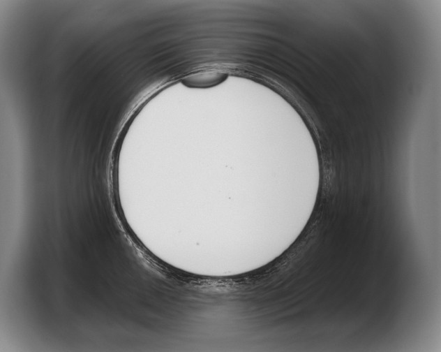 X0000103331050200810061011