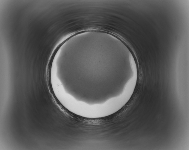 X0000103331053200810061011