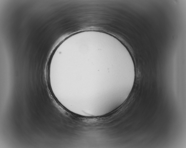 X0000103331054200810061011