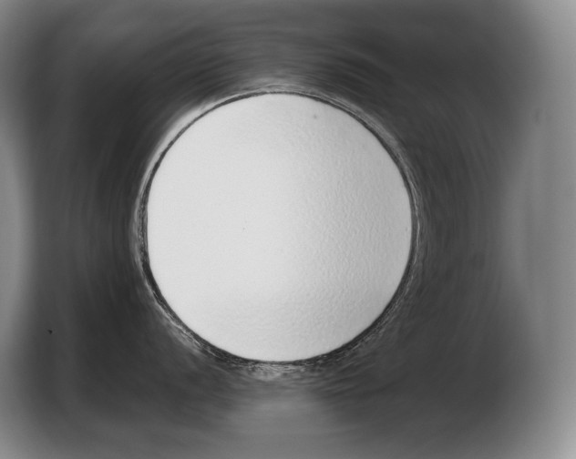 X0000103331056200810061011