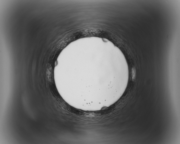 X0000103331059200810061010