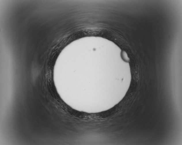 X0000103331061200810061010