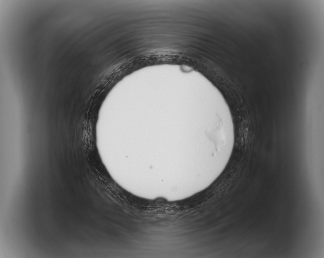 X0000103331062200810061010