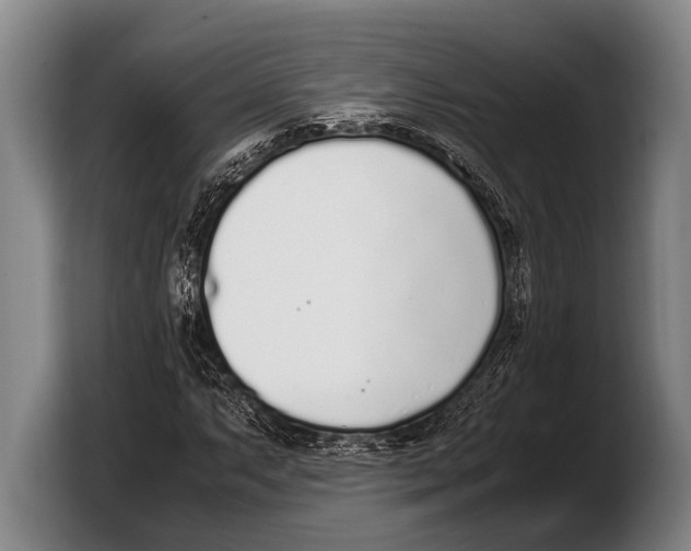 X0000103331063200810061010